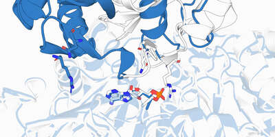 Prediction of a protein-ligand interaction.