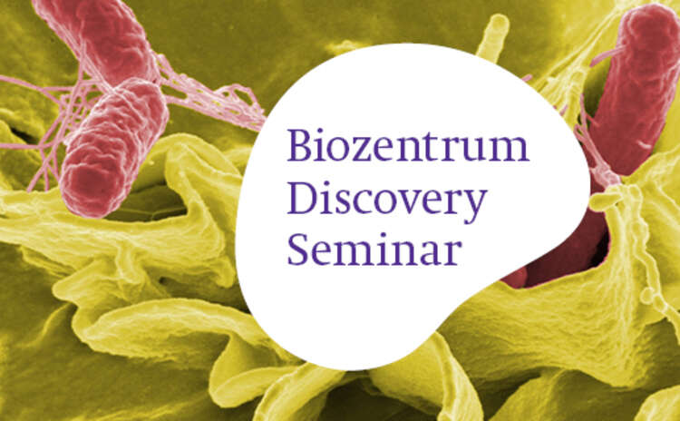 Biozentrum Discovery Seminar by Prof. Ralph Isberg, Tufts University, USA