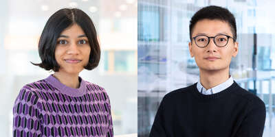 Janani Durairaj and Fengjie Wu have received an SNSF Ambizione Fellowship.