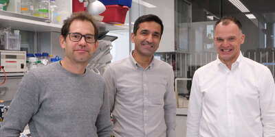 The team of the Biozentrum startup Translation-X has received funding from Venture Kick.