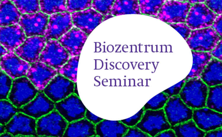 Biozentrum Discovery Seminar by Prof. Mounia Lagha on April 19, 2024.