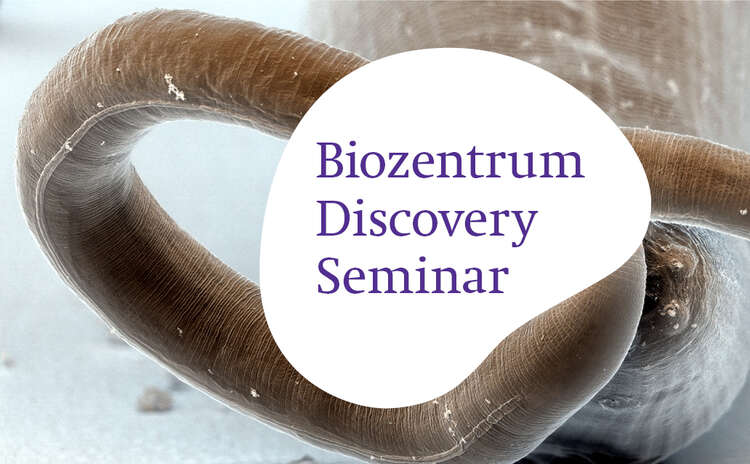 Biozentrum Discovery Seminar by James Lightfoot on November 22.